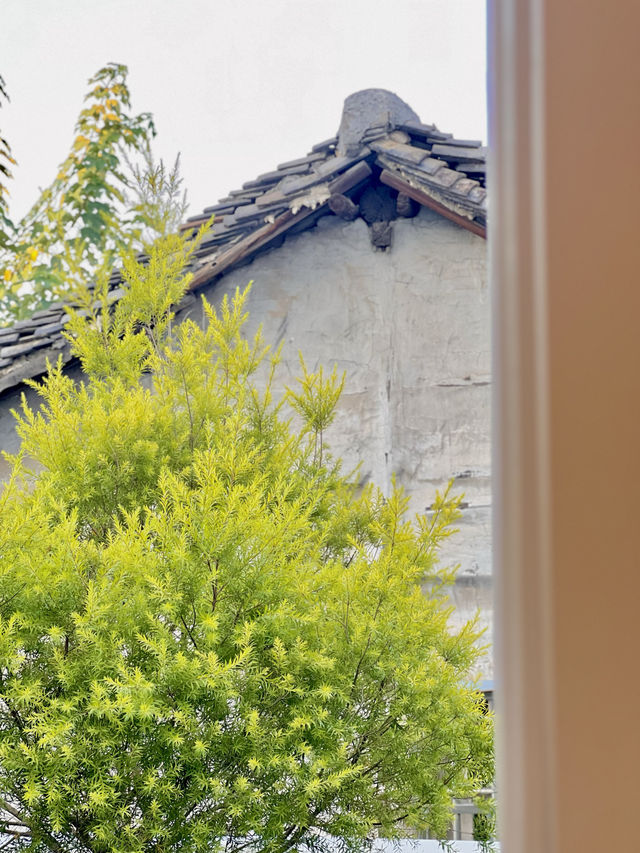 西塘 | 邂逅江南，住進藝術夢境