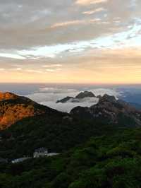 黃山四絕玩轉攻略|私藏文案+打卡點一手放送