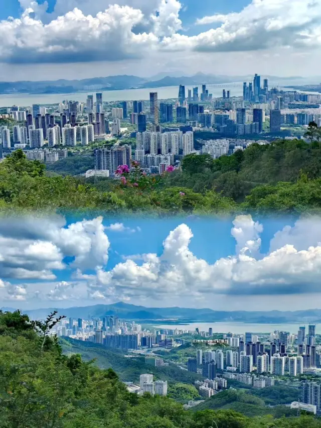 Tanglang Mountain in Shenzhen