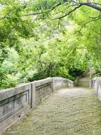 山海交錯的綠蔭時光——聯峰山公園