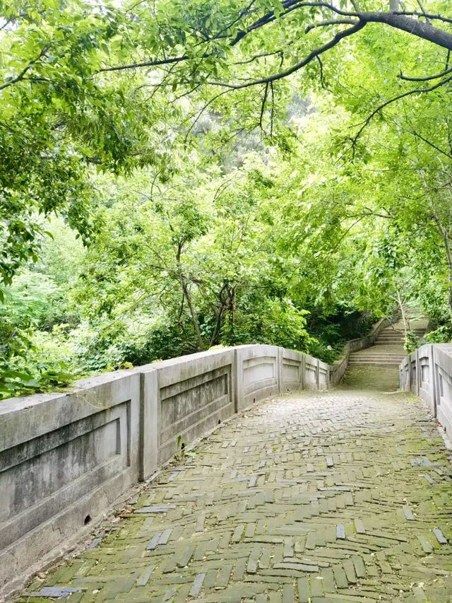山海交錯的綠蔭時光——聯峰山公園