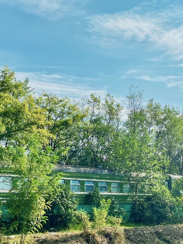 花影流光：浐灞桃花潭的春日私語