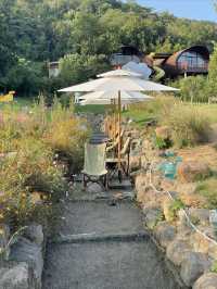 玩轉莫干山開元森泊度假樂園