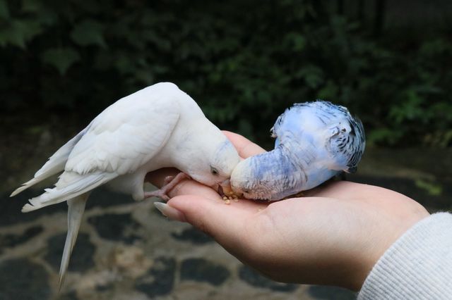 昆明—湖州，來這裡感受真正的野生動物日常