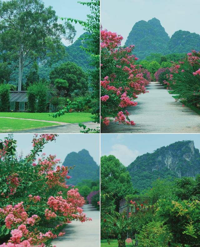 柳州拍照聖地/柳州市園林科學研究所