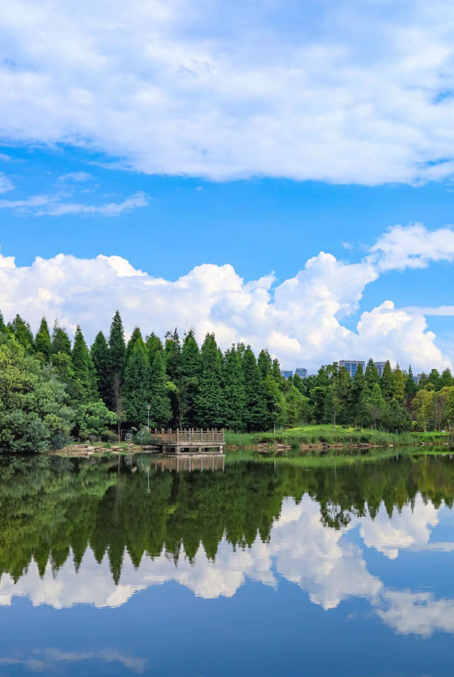 海洪濕地公園遊玩攻略 | 邂逅昆明的自然之美