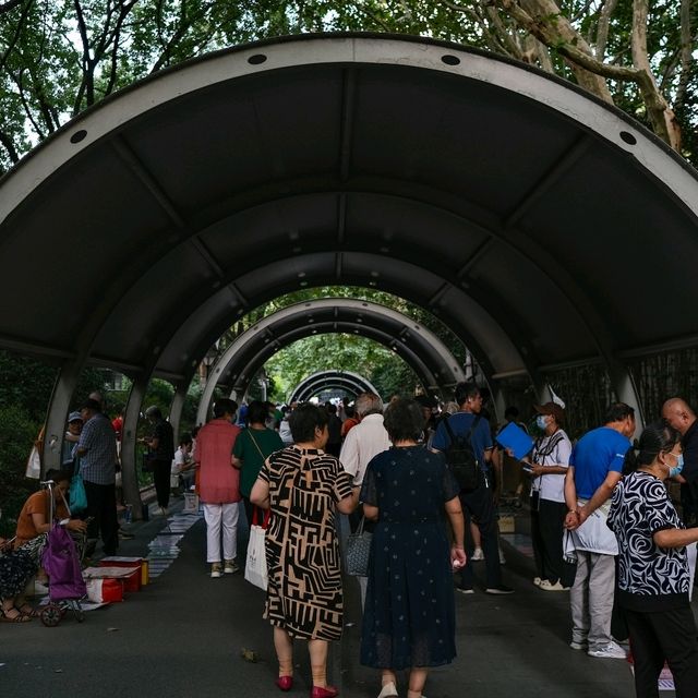 Shanghai Guide – Where Tradition Meets Tomorrow 🌆✨