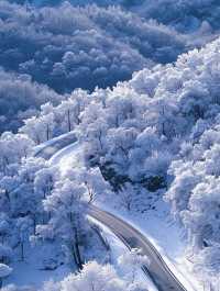 亞雪公路裹雪帶鬆如絲帶，一路風光醉人心