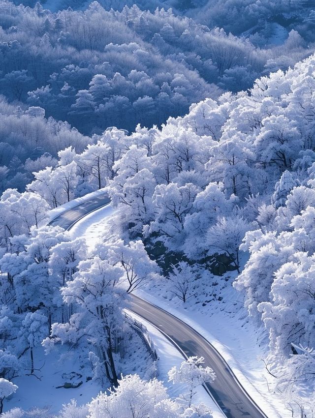 亞雪公路裹雪帶鬆如絲帶，一路風光醉人心
