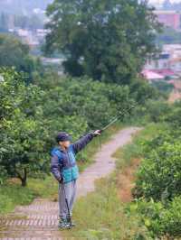 成都40min直達摘橘子視野無敵親子徒步地