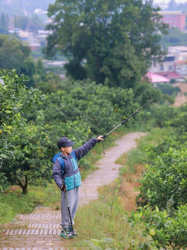 成都40min直達摘橘子視野無敵親子徒步地