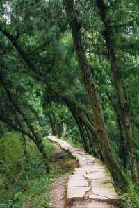 成都1h |初秋徒步雲頂山脊探索山野秘境！