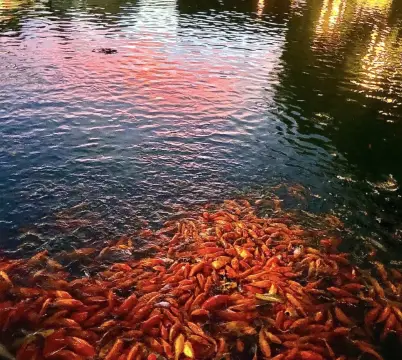 比起烏鎮 我更喜歡這裡的人間煙火