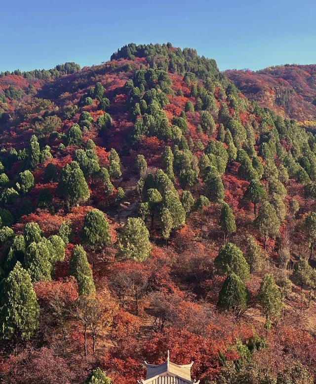 阜平深秋美景正式解鎖啦