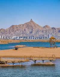 烏海探秘大揭秘！沙漠、湖泊、綠洲的奇幻之旅
