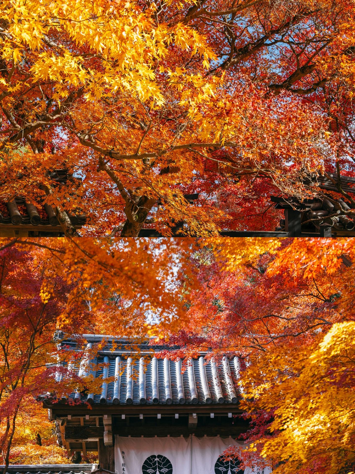 jōjakkōji temple