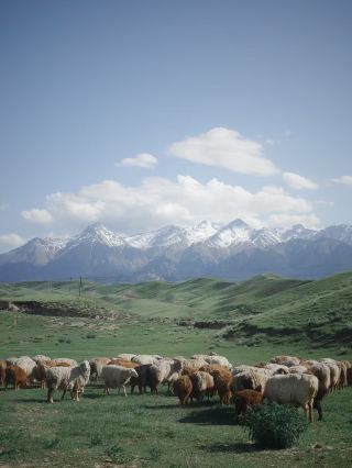 新疆伊犁谷地與安集海大峽谷旅遊指南