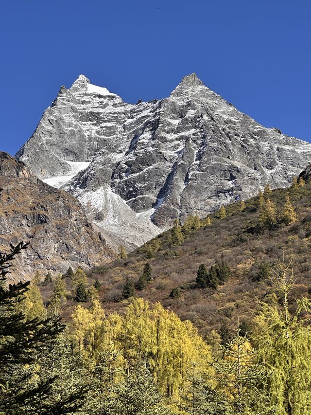 是次畢棚溝、四姑娘山的行程,風景優美,景區規劃完善,旅遊過程很順暢;雖然行程多在山區道路行駛,但是為 是次畢棚溝、四姑娘山的行程,風景優美,景區規劃完善,旅遊過程很順暢;雖然行程多在山區道路行駛,但是為