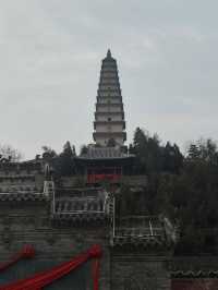 阿姨很熱情!房子也好!下次去的話還會再去找阿姨哒! 小狗(多多)也很可愛哦!