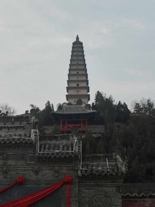 阿姨很熱情!房子也好!下次去的話還會再去找阿姨哒! 小狗(多多)也很可愛哦! 阿姨很熱情!房子也好!下次去的話還會再去找阿姨哒! 小狗(多多)也很可愛哦!