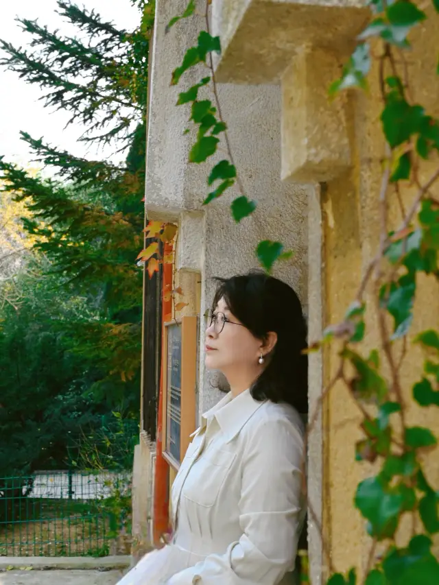 Take an autumn-exclusive citywalk in Dalian