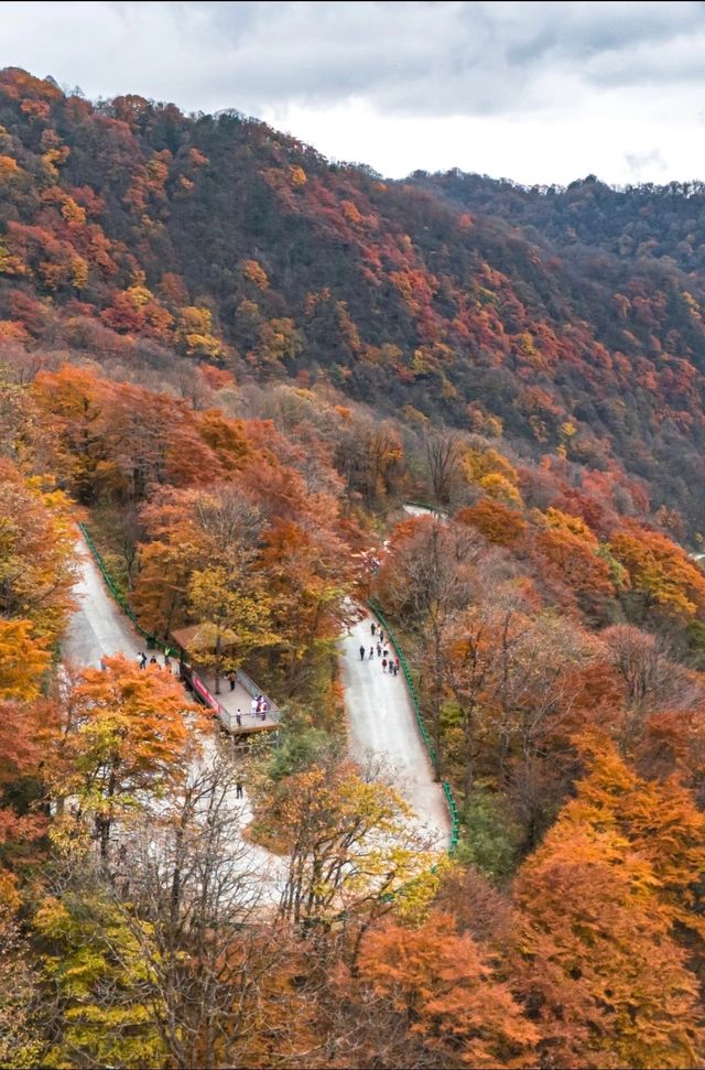 漢中龍頭山一日遊四川周邊遊秋天必去打卡地 漢中龍頭山一日遊四川周邊遊秋天必去打卡地
