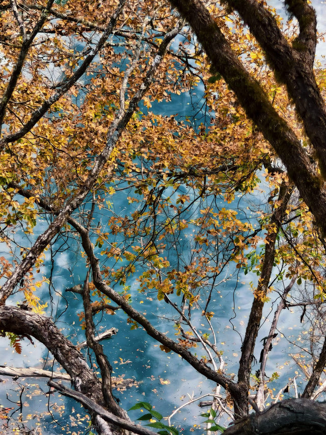 綿陽寶藏賞秋地 | 扒昔加古寨,免費解鎖秋日童話! 綿陽寶藏賞秋地 | 扒昔加古寨,免費解鎖秋日童話!