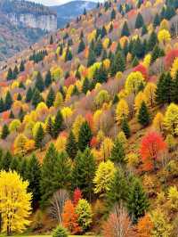 甘肅隱藏彩林秘境錯峰包場「隴上小九寨」