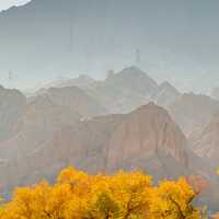 新疆胡楊林公園景區3天2夜5000元旅遊攻略