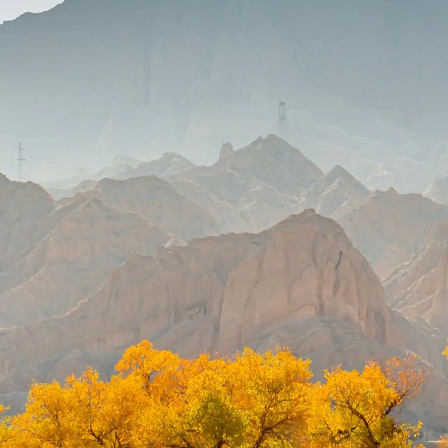 新疆胡楊林公園景區3天2夜5000元旅遊攻略