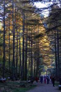 秦嶺留壩環線之情人谷