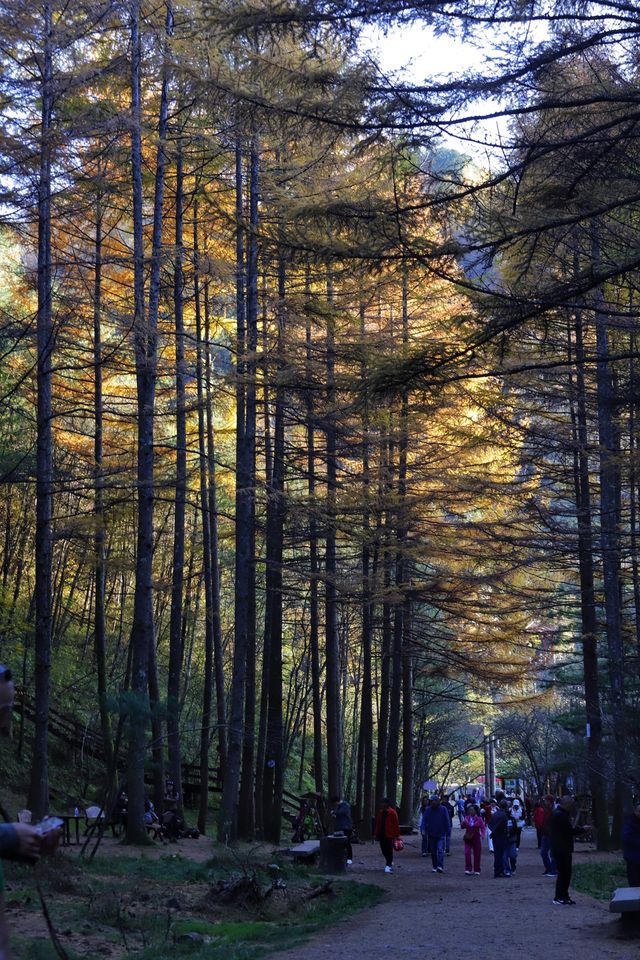 秦嶺留壩環線之情人谷
