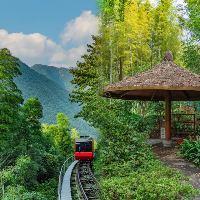 The ultimate hot spring experience in Jiangsu, Zhejiang, and Shanghai! Escape into the bamboo sea and soak in a genuine hot spring