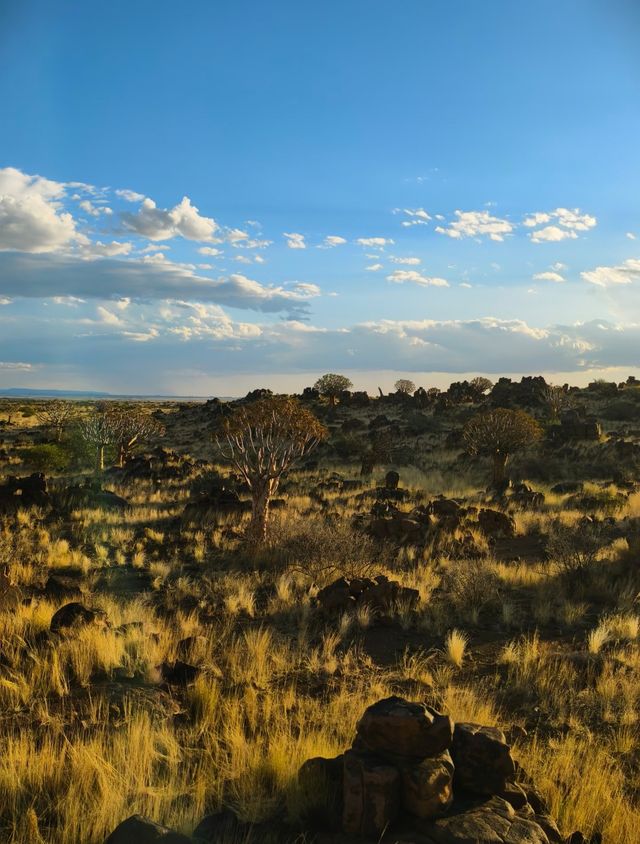 納米比亞絕美箭袋樹公園｜自帶仙氣的拍照天堂