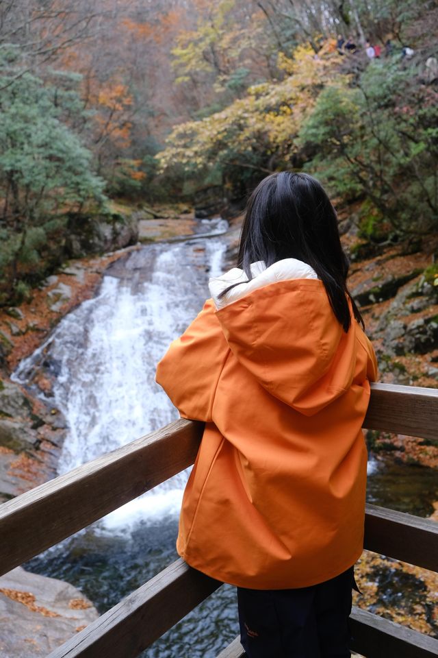 親子徒步看紅葉寶藏地，十八月潭保姆級攻略