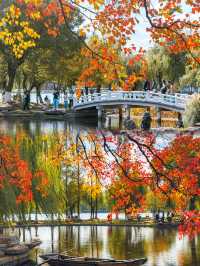 南京莫愁湖賞秋攻略｜一年一度做「飽和度戰士」的時間到啦！