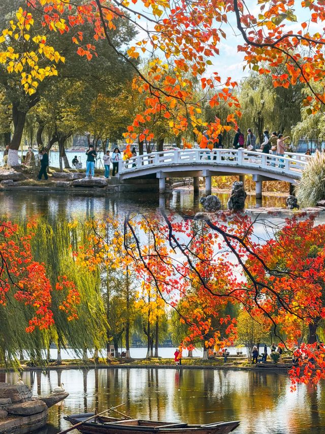 南京莫愁湖賞秋攻略｜一年一度做「飽和度戰士」的時間到啦！