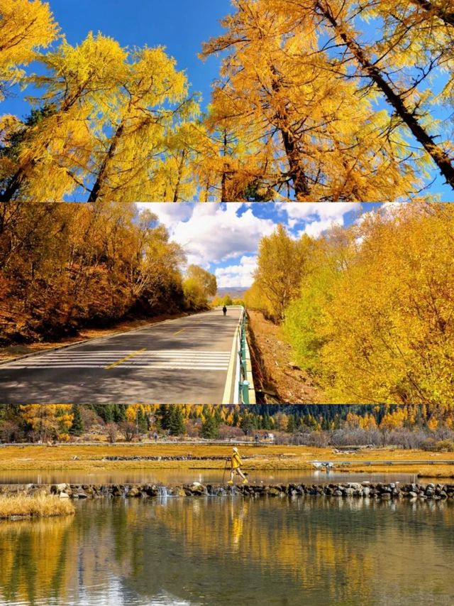 成都往返！川西5天純玩含門票+車費