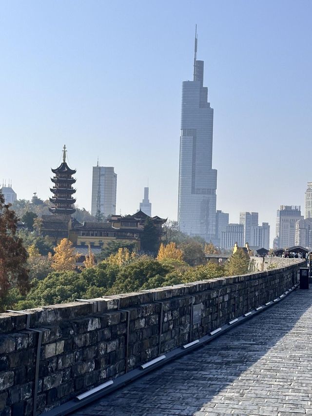 這可能是我在南京花得最值得的15塊錢…