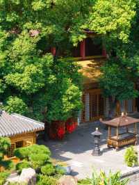 因為這15張圖我特意去了一趟南昌