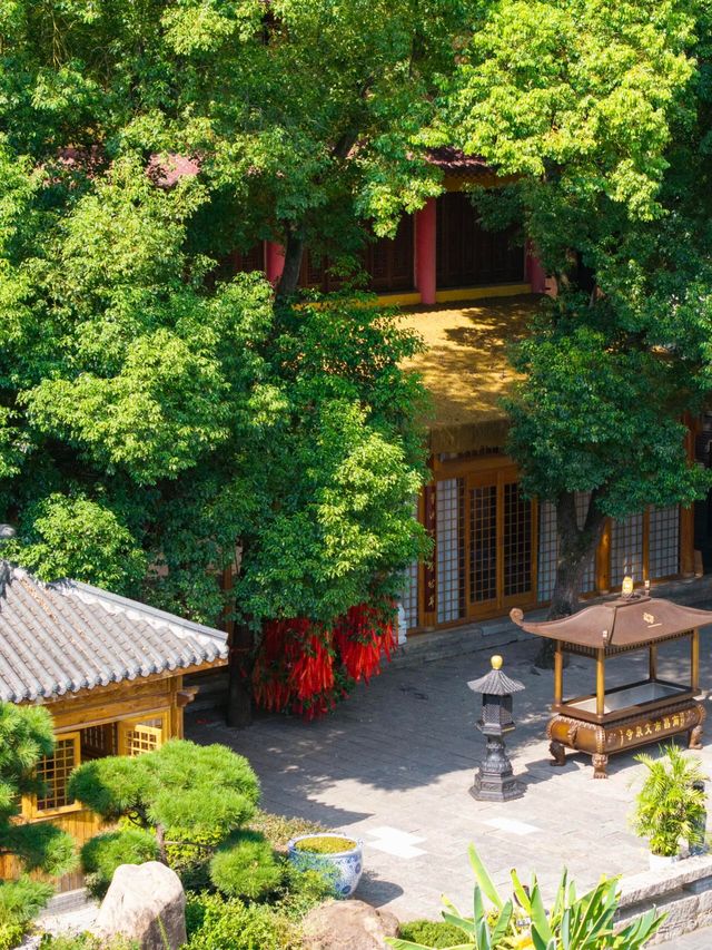 因為這15張圖我特意去了一趟南昌 因為這15張圖我特意去了一趟南昌