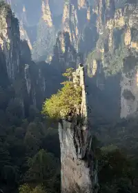[11.05]跌宕起伏的張家界森林公園·攻略參考