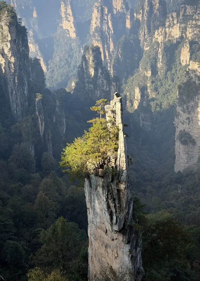 [11.05]跌宕起伏的張家界森林公園·攻略參考