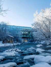 長白山封神酒店！推窗見雪的森林秘境