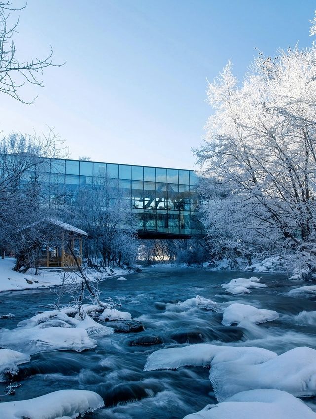 長白山封神酒店！推窗見雪的森林秘境