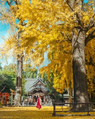 The Most Beautiful Autumn Colors in the Ancient Capital Route