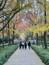 鐘山景區一日遊攻略 反方向路線避開人流