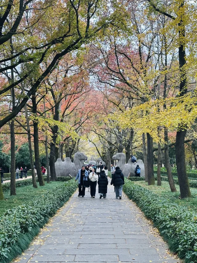 鐘山景區一日遊攻略 反方向路線避開人流