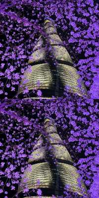 上海真的殺瘋了！！！！！！！！！！！！！