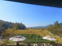 由贛州出發週末遊宏村塔川賞秋保姆級攻略嚟喇